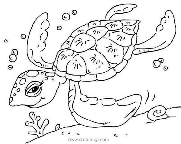 Free Baby Green Sea Turtle Coloring Pages printable