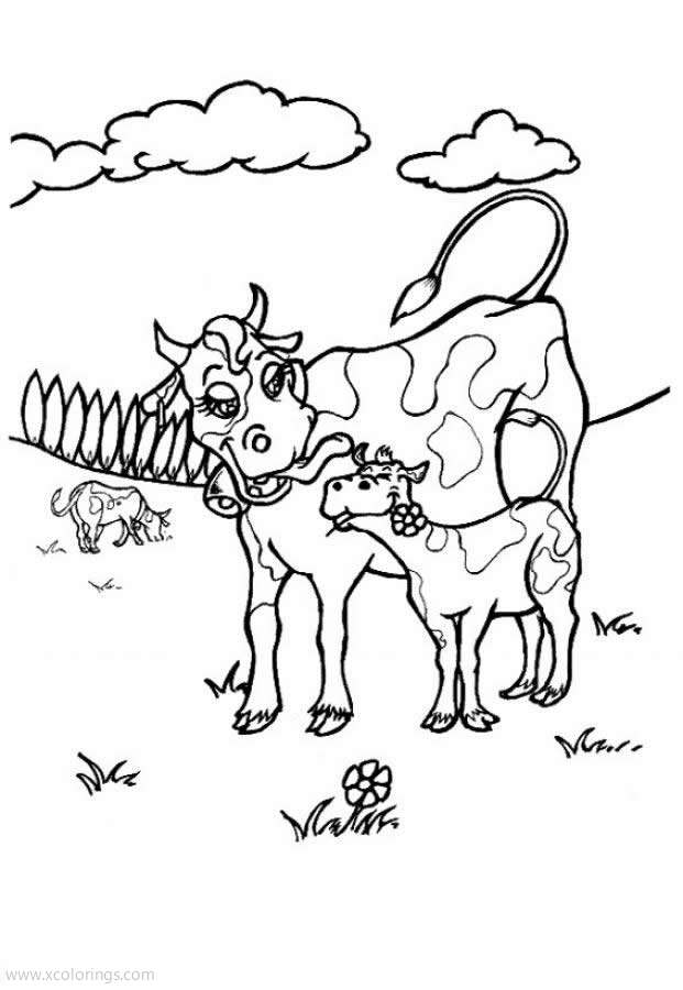 Free Baby Holstein Cow Coloring Pages printable