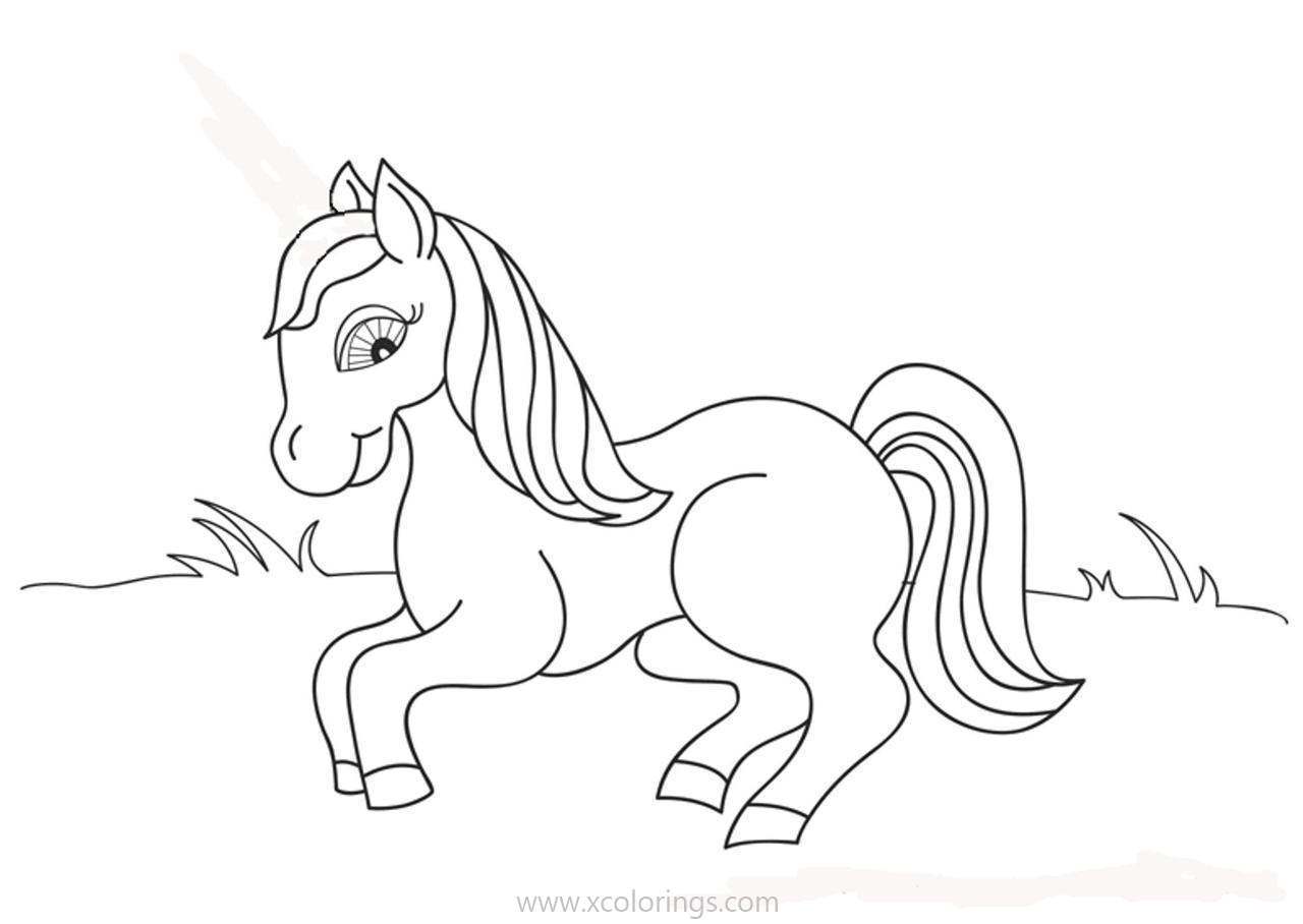 Free Baby Horse Coloring Pages For Kids printable