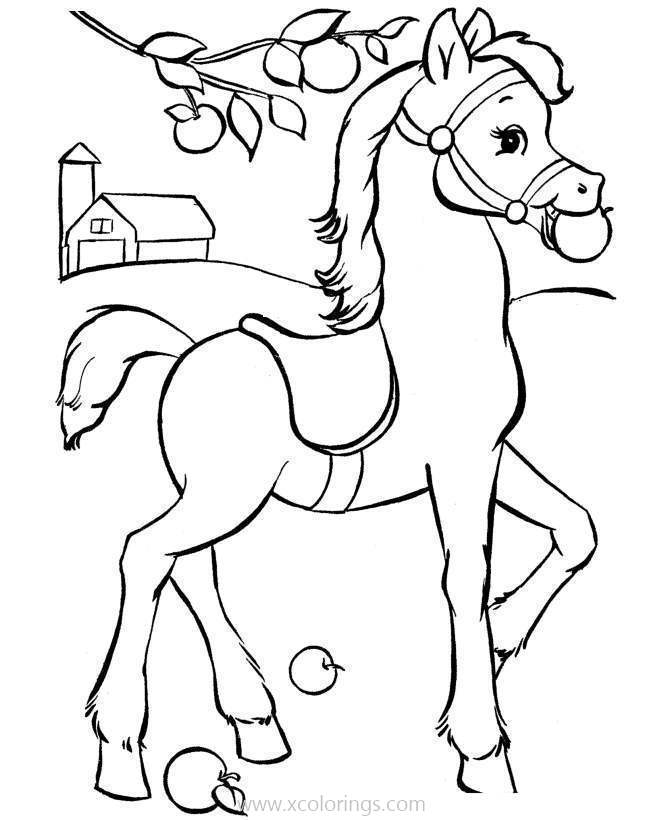 Free Baby Horse Eating Apple Coloring Pages printable