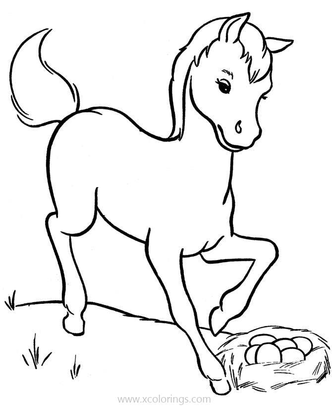 Free Baby Horse Found Some Eggs Coloring Pages printable