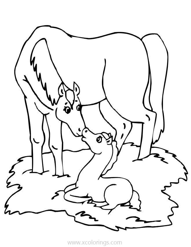 Free Baby Horse Kissing Mom Coloring Pages printable