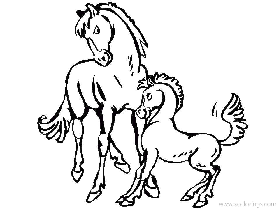 Free Baby Horse Play with Mother Coloring Pages printable