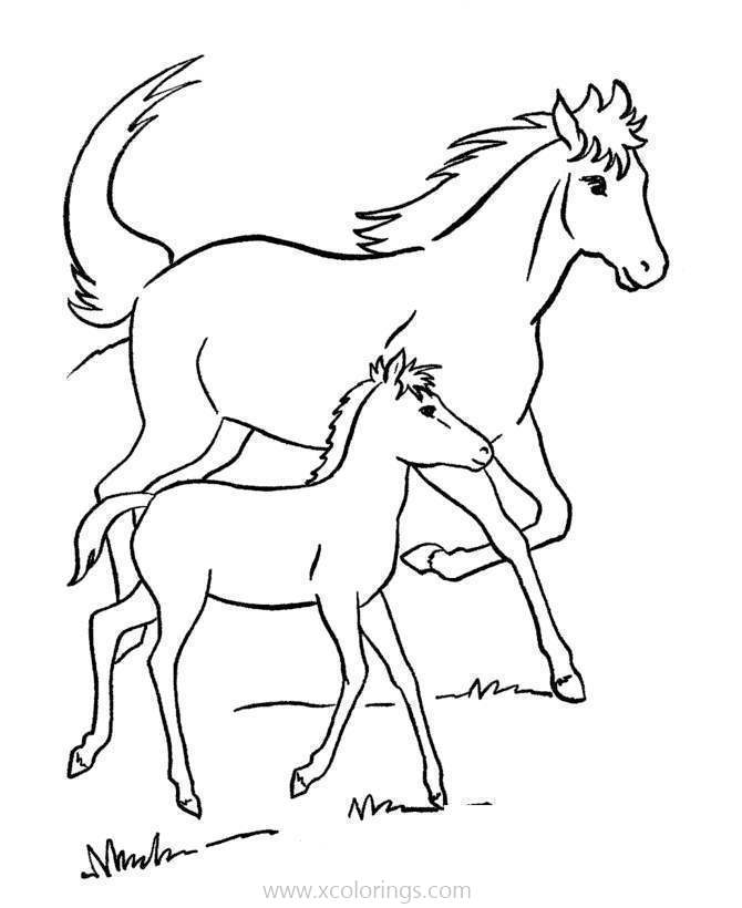 Free Baby Horse Running Coloring Pages printable
