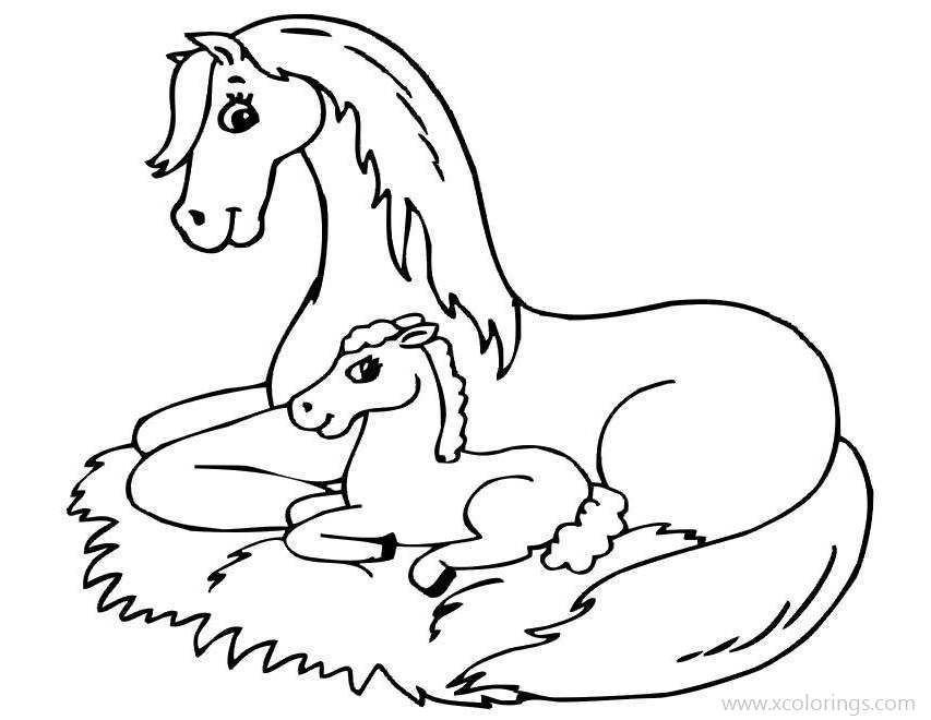 Free Baby Horse Sitting with Mom Coloring Pages printable