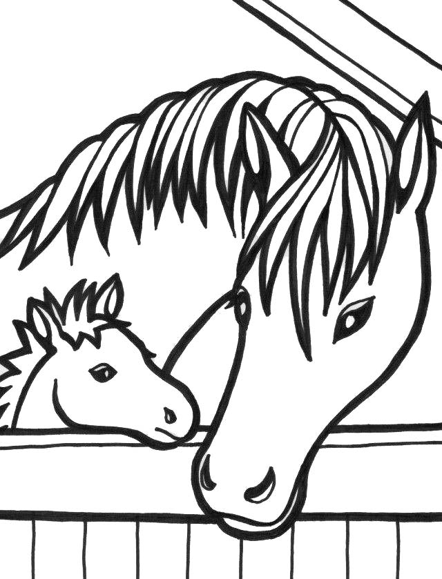 Free Baby Horse in Stable Coloring Pages printable