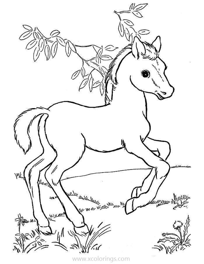 Free Baby Horse under the Tree Coloring Pages printable