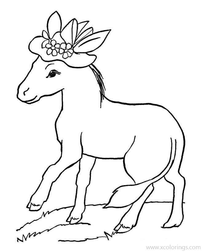 Free Baby Horse with Hat Coloring Pages printable