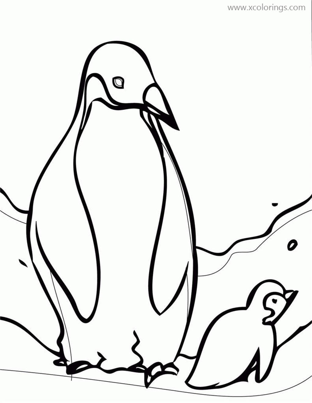 Free Baby Penguin and Mom Coloring Pages printable