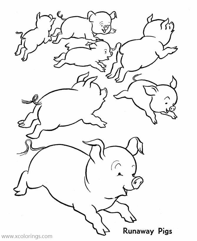 Free Baby Pig Area Running Coloring Pages printable