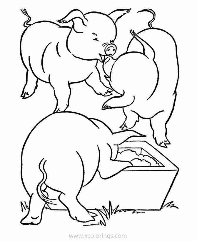Free Baby Pigs Eating Food Coloring Pages printable