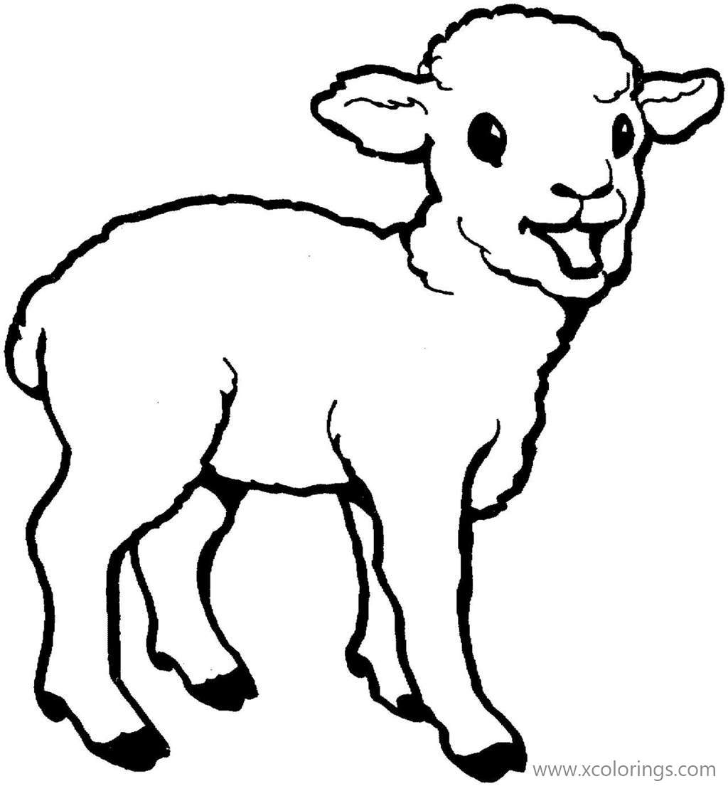 Free Baby Sheep Coloring Pages printable
