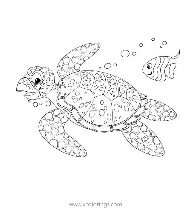 Free Banner Fish and Baby Sea Turtle Coloring Pages printable