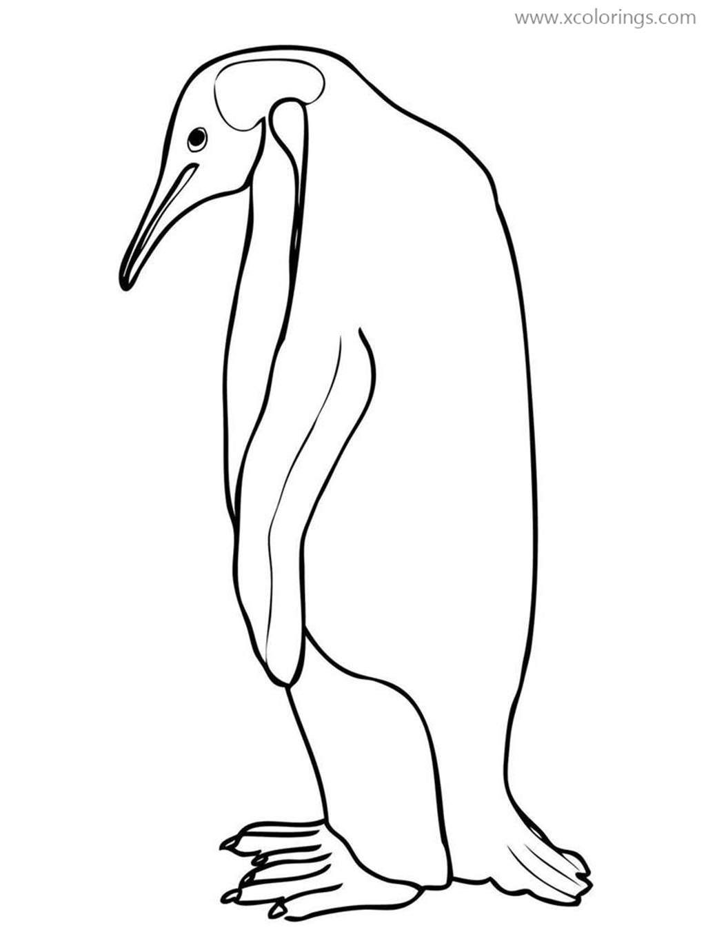 Free Big Emperor Penguin Coloring Pages printable
