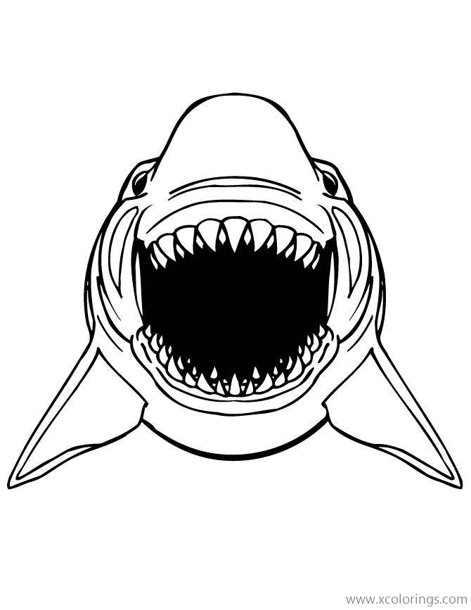 Big Mouth Shark Coloring Pages - XColorings.com