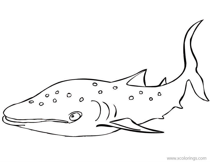 Free Big Whale Shark Coloring Pages printable
