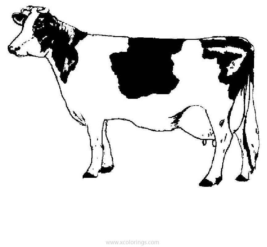 Free Black and White Diary Cow Coloring Page printable