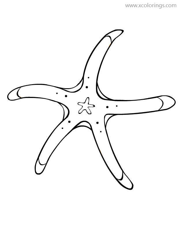 Free Blue Starfish Coloring Pages printable