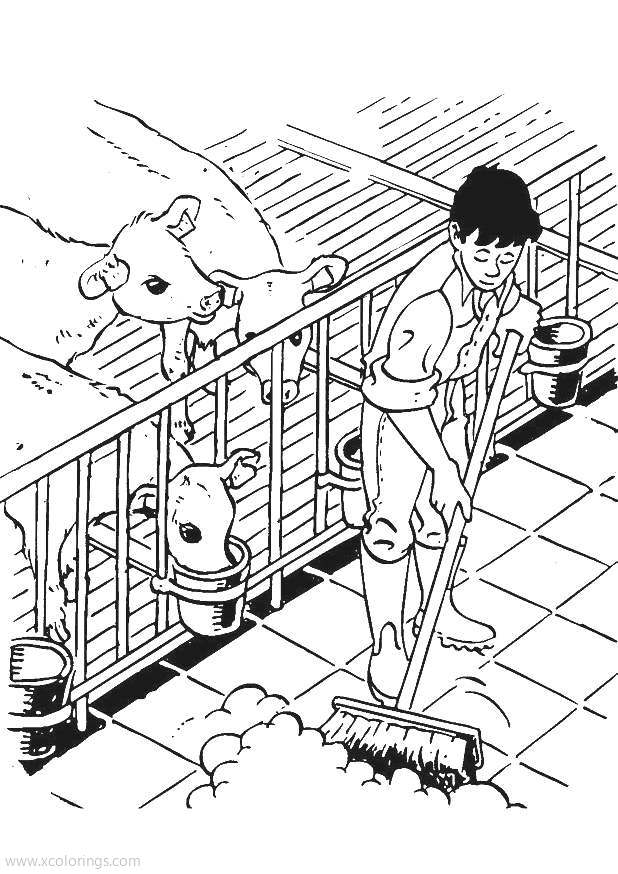 Free Boy is Working for Cow Coloring Pages printable