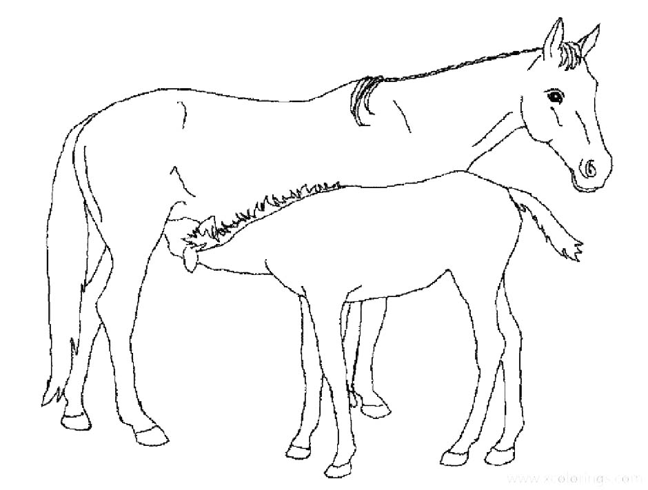 Free Breastfeeding Baby Horse Coloring Pages printable