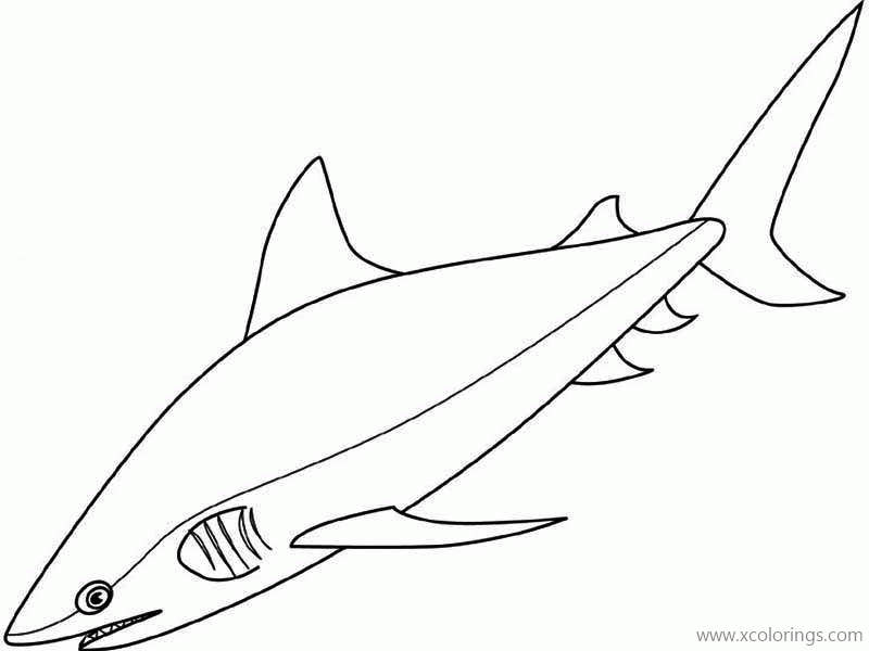 Free Bull Shark Outline Coloring Page printable