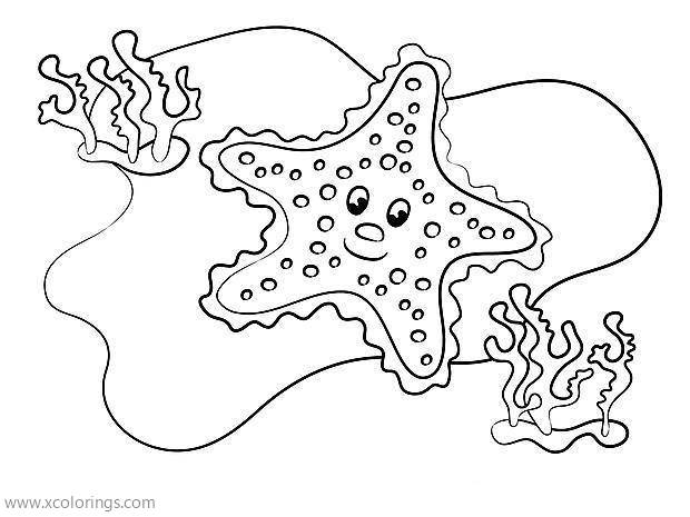 Free Cartoon Sea Weeds and Starfish Coloring Pages printable