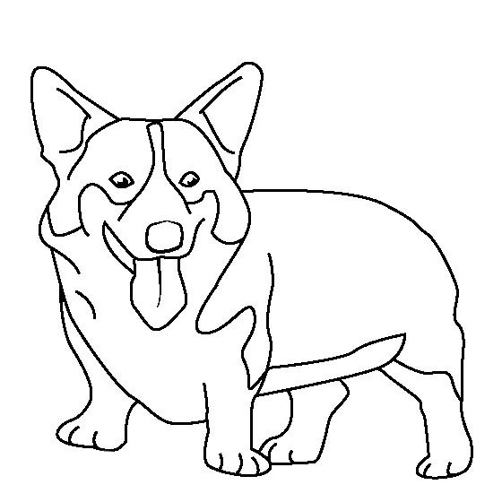 Cute Corgi Coloring Pages  XColorings.com