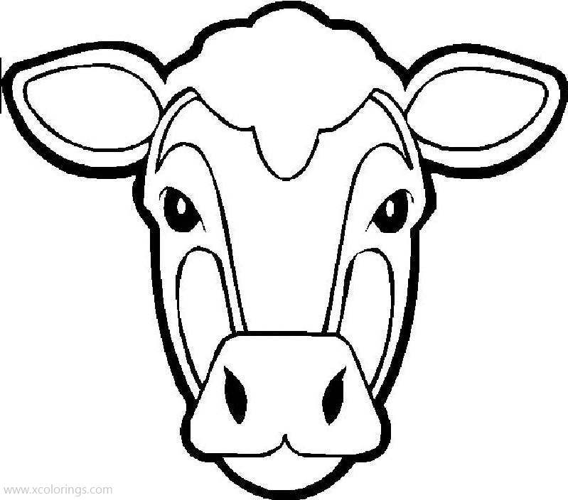 Free Cow Face Coloring Pages printable