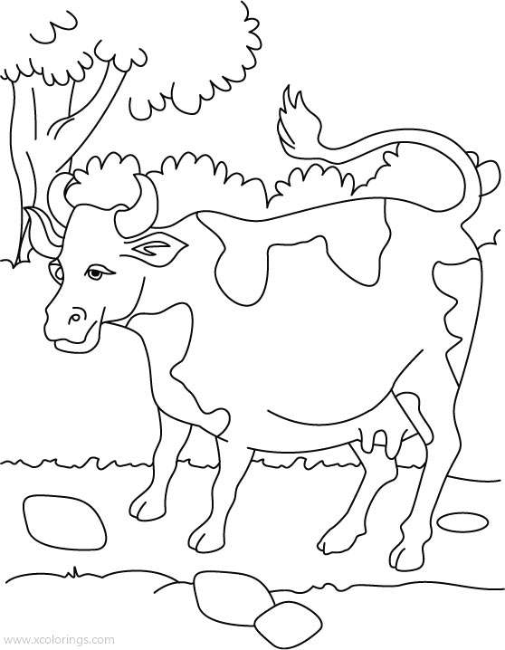 Free Cow In Bushes Coloring Page printable