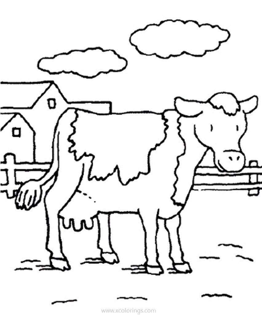 Free Cow On the Farm Coloring Pages printable