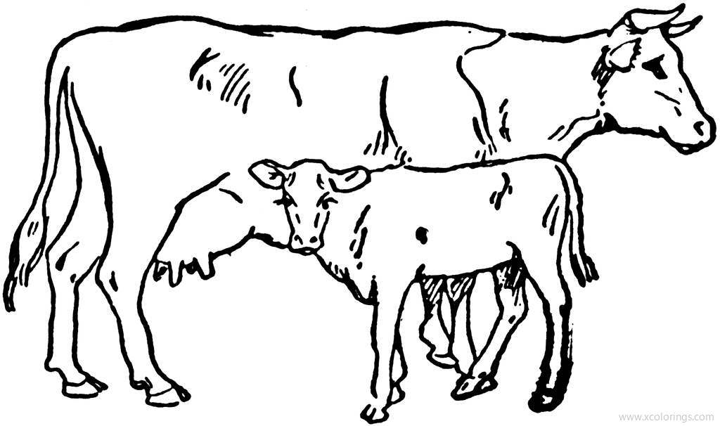Free Cow and Calf Coloring Pages printable