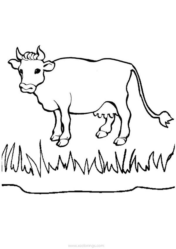 Free Cow by the River Coloring Pages printable