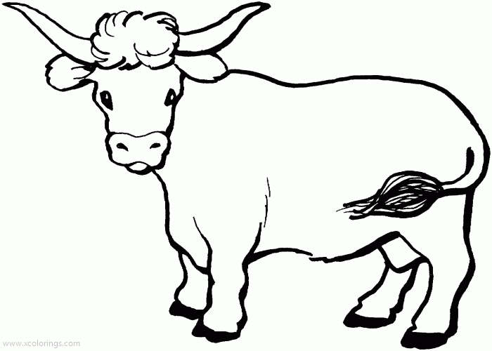 Free Cow with Horns Coloring Pages printable