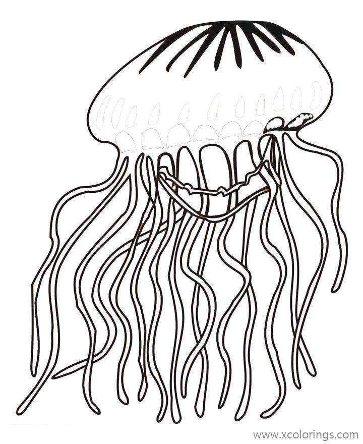 Free Crystal Jelly Coloring Pages printable
