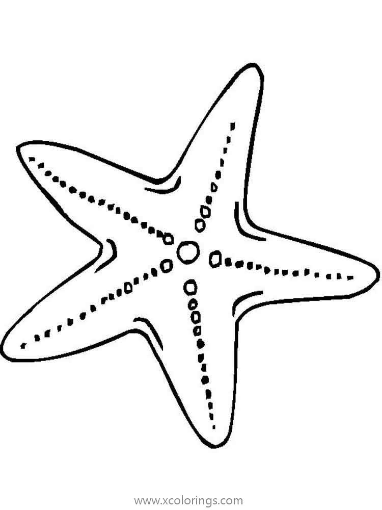 Free Cushion Starfish Coloring Pages printable