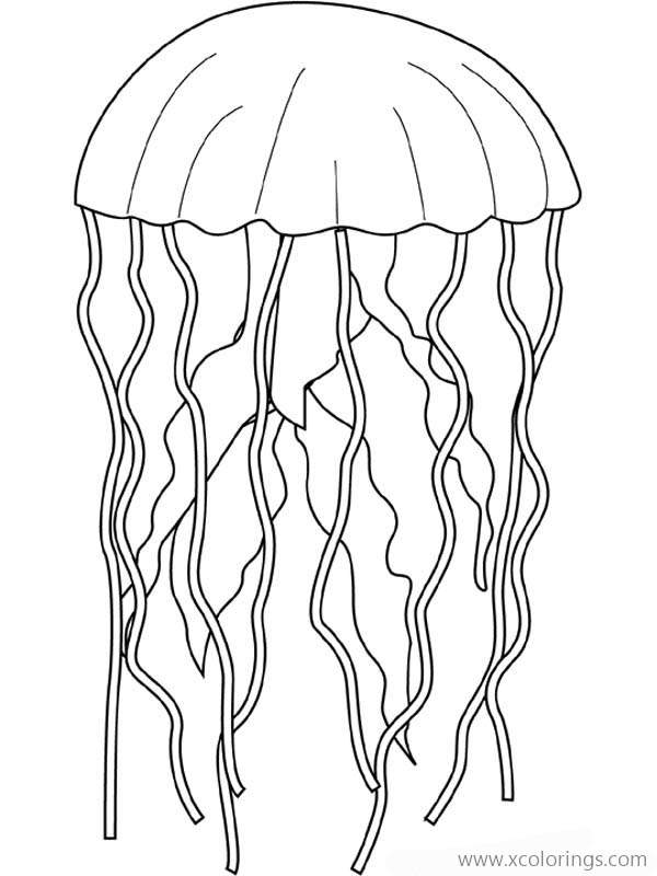 Dangerous Jellyfish Coloring Pages - XColorings.com