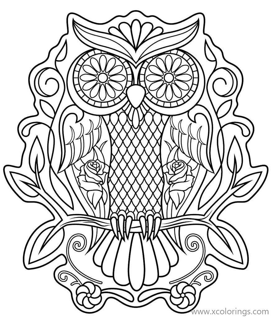Free Day of The Dead Skull OwlColoring Page printable