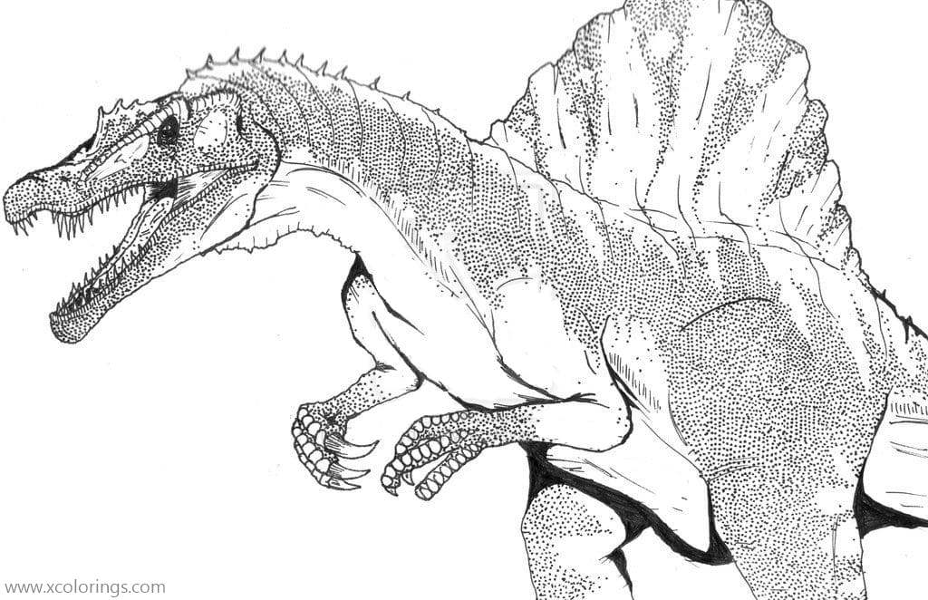 Dinosaurs Spinosaurus Coloring Pages XColorings