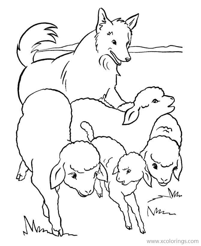 Free Dog and Sheep Coloring Pages printable