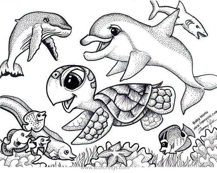 Free Dolphin Whale and Baby Sea Turtle Coloring Pages printable