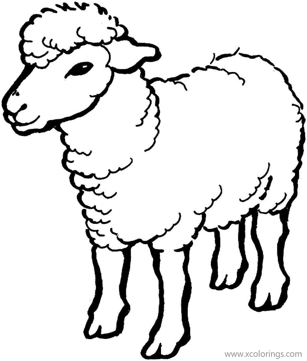 Free Farm Animals Sheep Coloring Pages printable