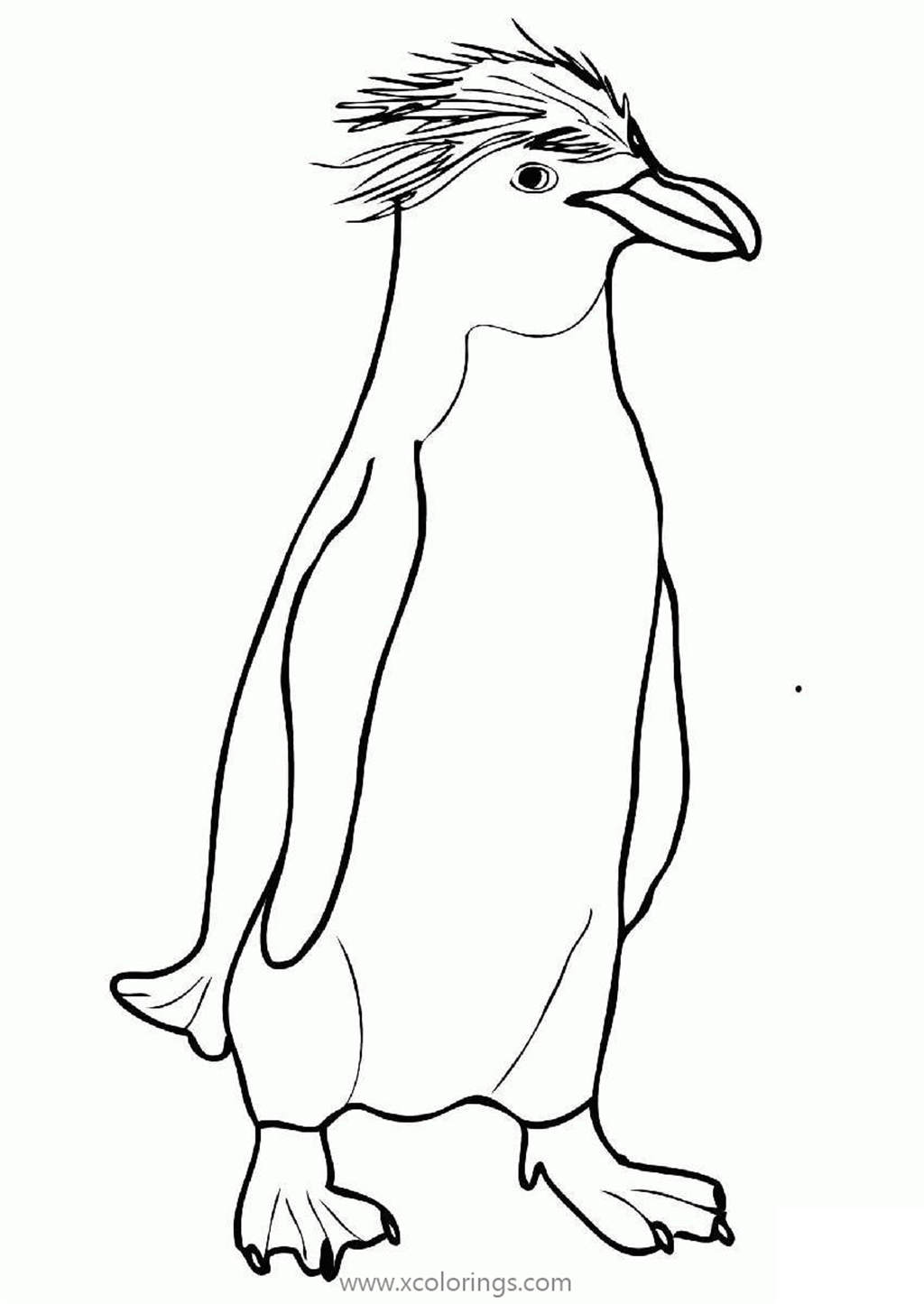 Free Fiordland Penguin Coloring Pages printable