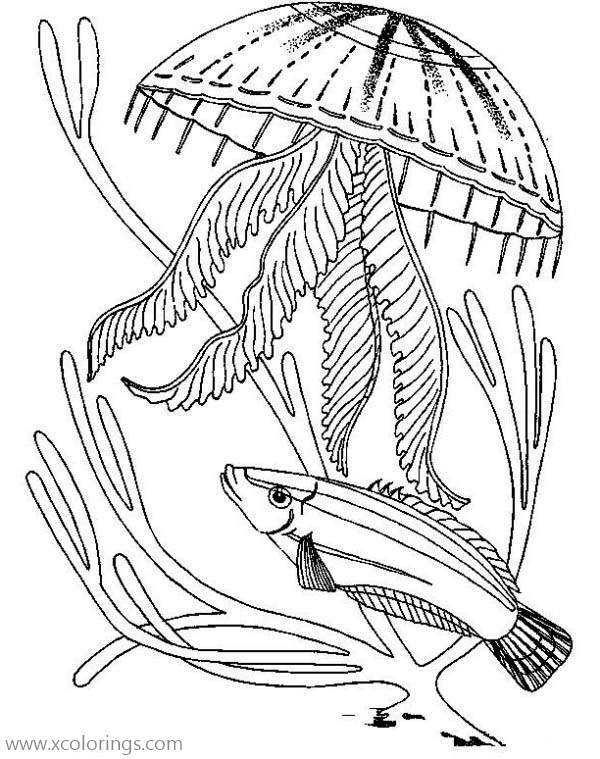 Free Fish and Jellyfish Coloring Page printable