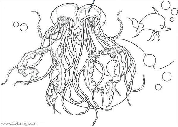 Free Fish and Two Jellyfishes Coloring Pages printable