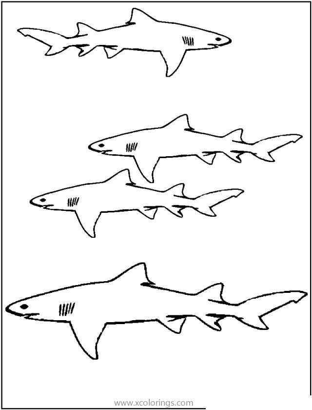 Free Four Sharks Coloring Pages printable