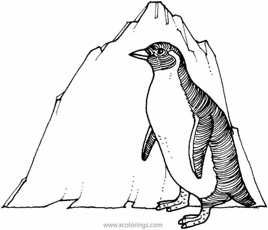 Free Gentoo Penguin Coloring Pages printable