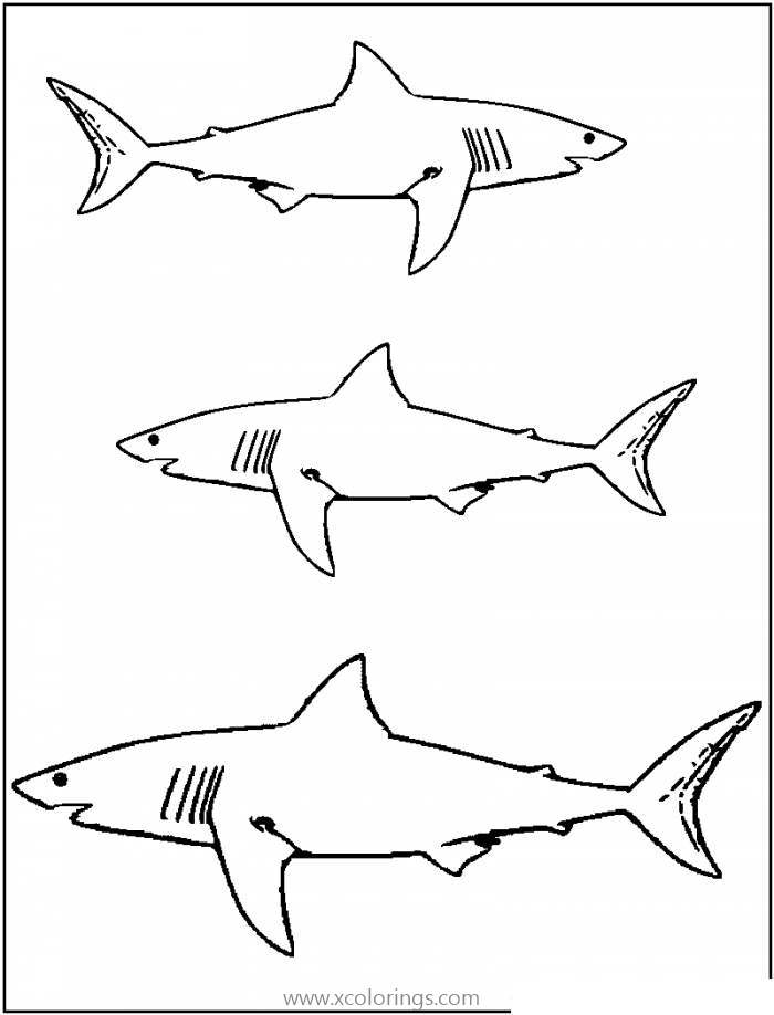 Free Great White Shark 3 in 1 Coloring Pages printable