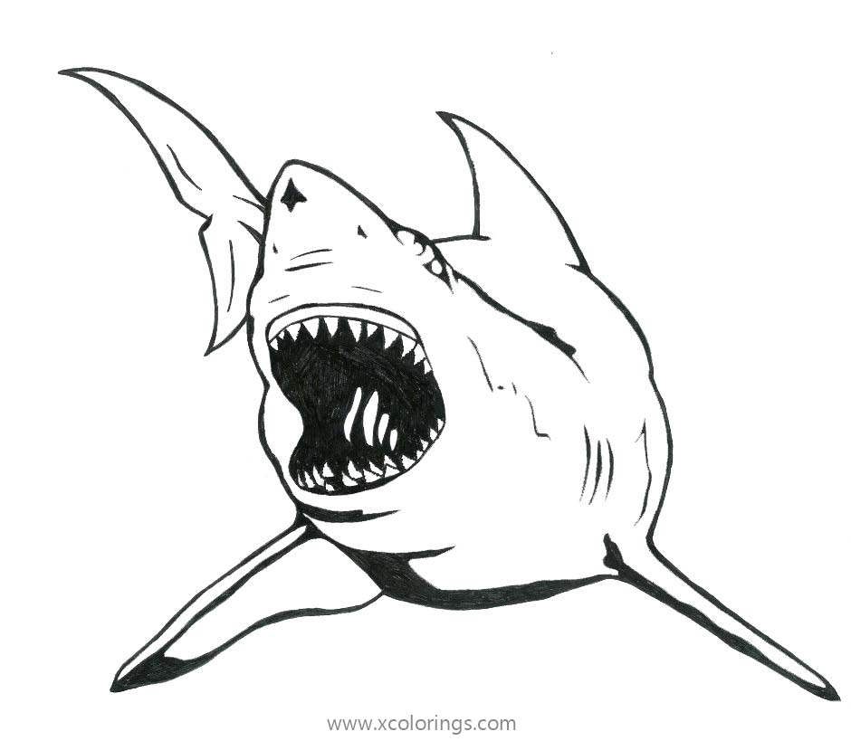 Free Great White Shark Coloring Pages printable