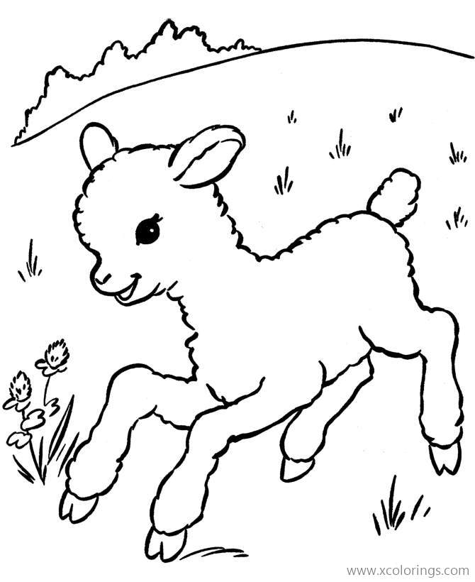 Free Happy Baby Sheep Coloring Pages printable