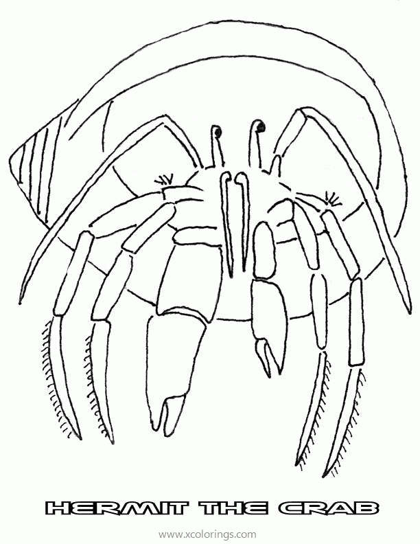 Free Hermit Crab Coloring Page Outline Picture printable